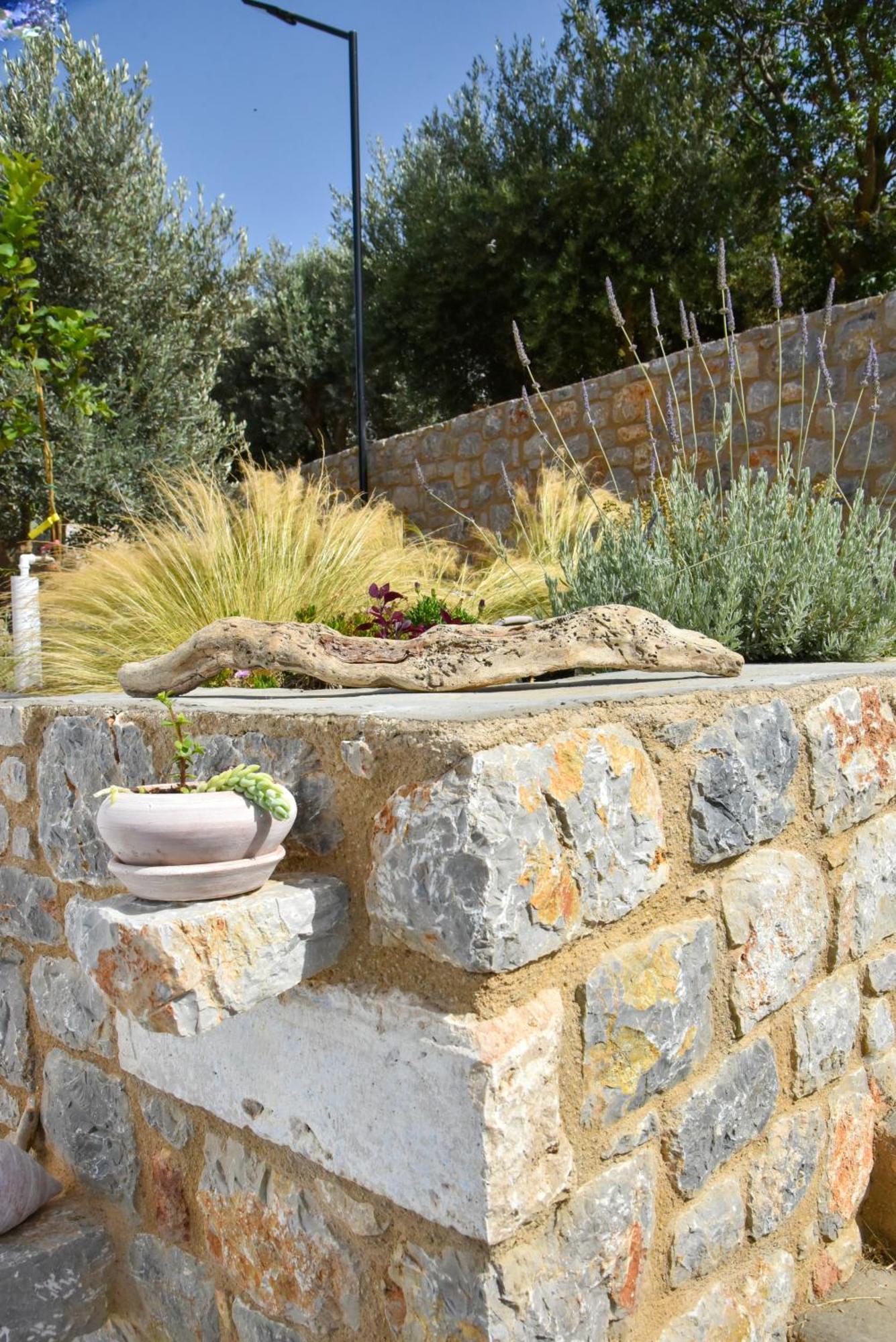 Το Σπιτάκι To Spitaki Τhe Little House Villa Panormos  Dış mekan fotoğraf